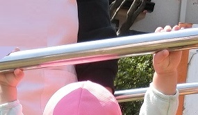 子どもたちの5月の様子!