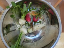 七草がゆ　～食育活動～