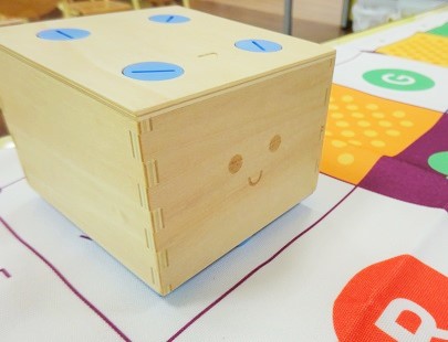 プログラミングレッスンを行っています♪