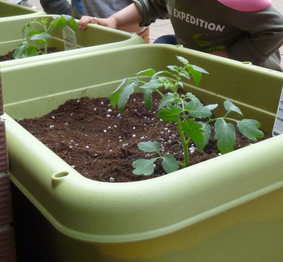 食べることが大好きな子どもたち!