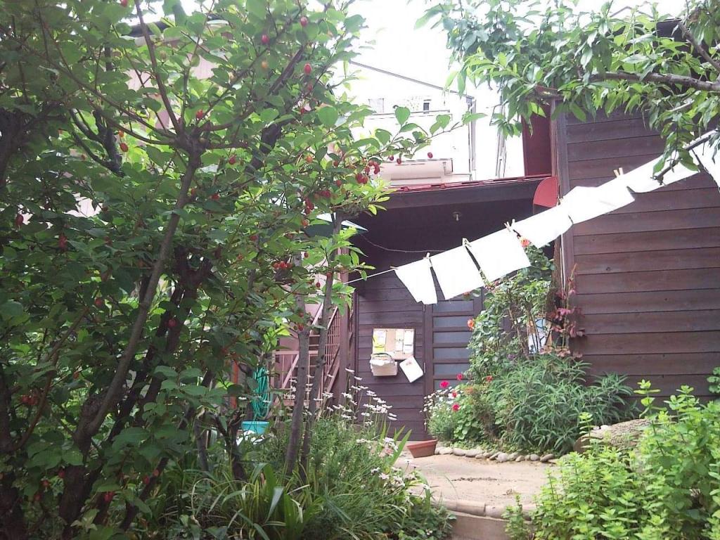 横浜シュタイナーこどもの園