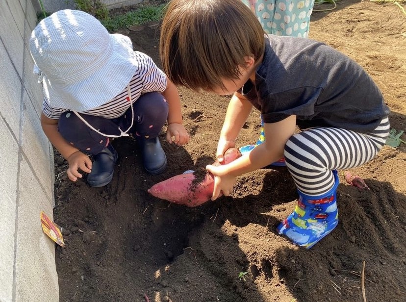 2021.Mlsa お芋掘り