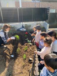 Mlsaの1日【栽培活動】