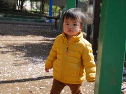 2019年度:職員への感謝(在園児保護者様より)