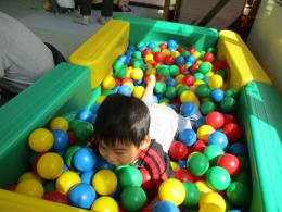 お弁当をもって、園外保育に行ってきたよ