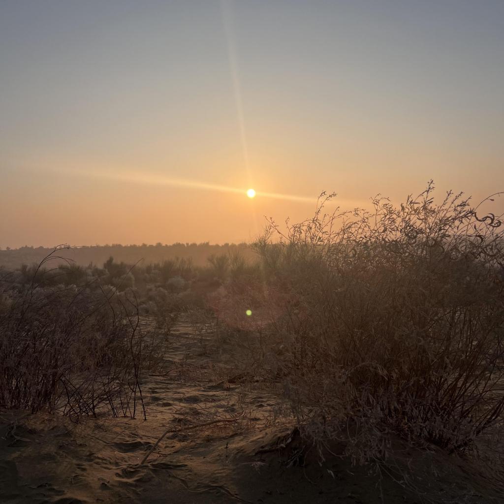 あけましておめでとうございます!