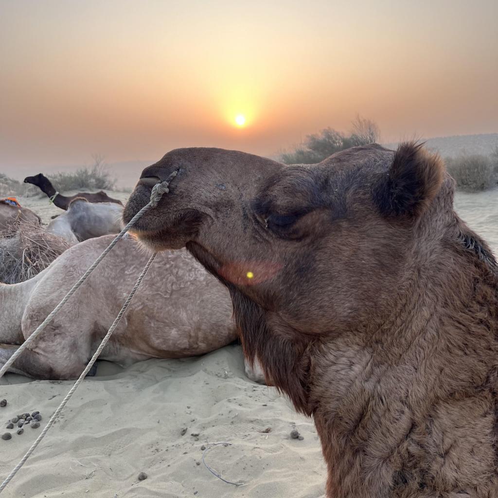 先生たちの冬休み～きょうこ先生編～