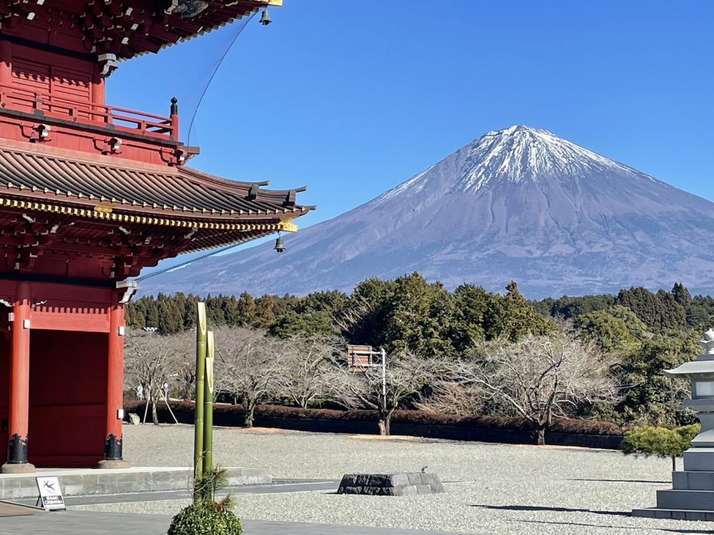 先生たちの冬休み～まい先生編～