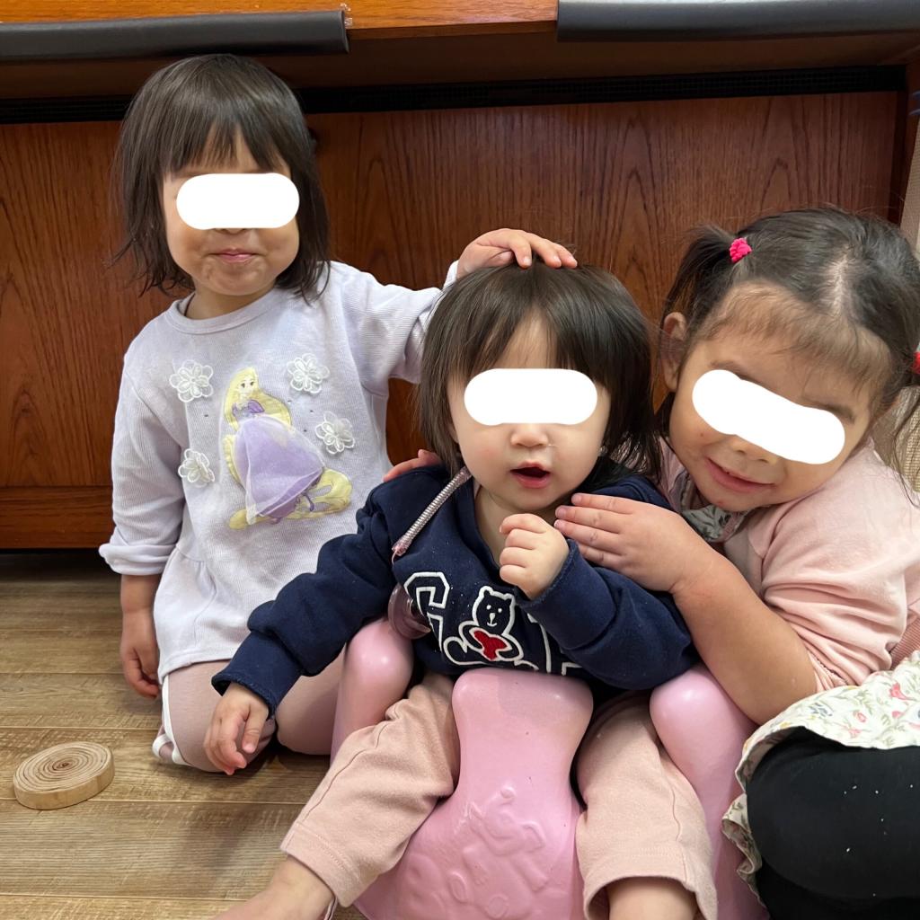 一時預かりのお友達の様子♪