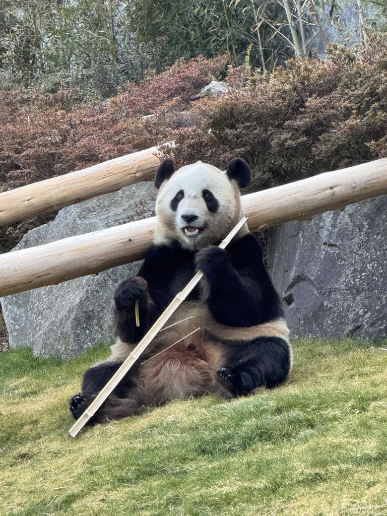 アドベンチャーワールドに行ってきました♪