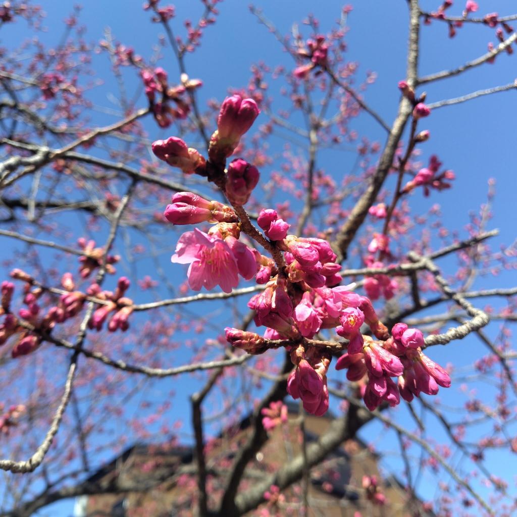 のぞみ児童遊園で遊びました♪