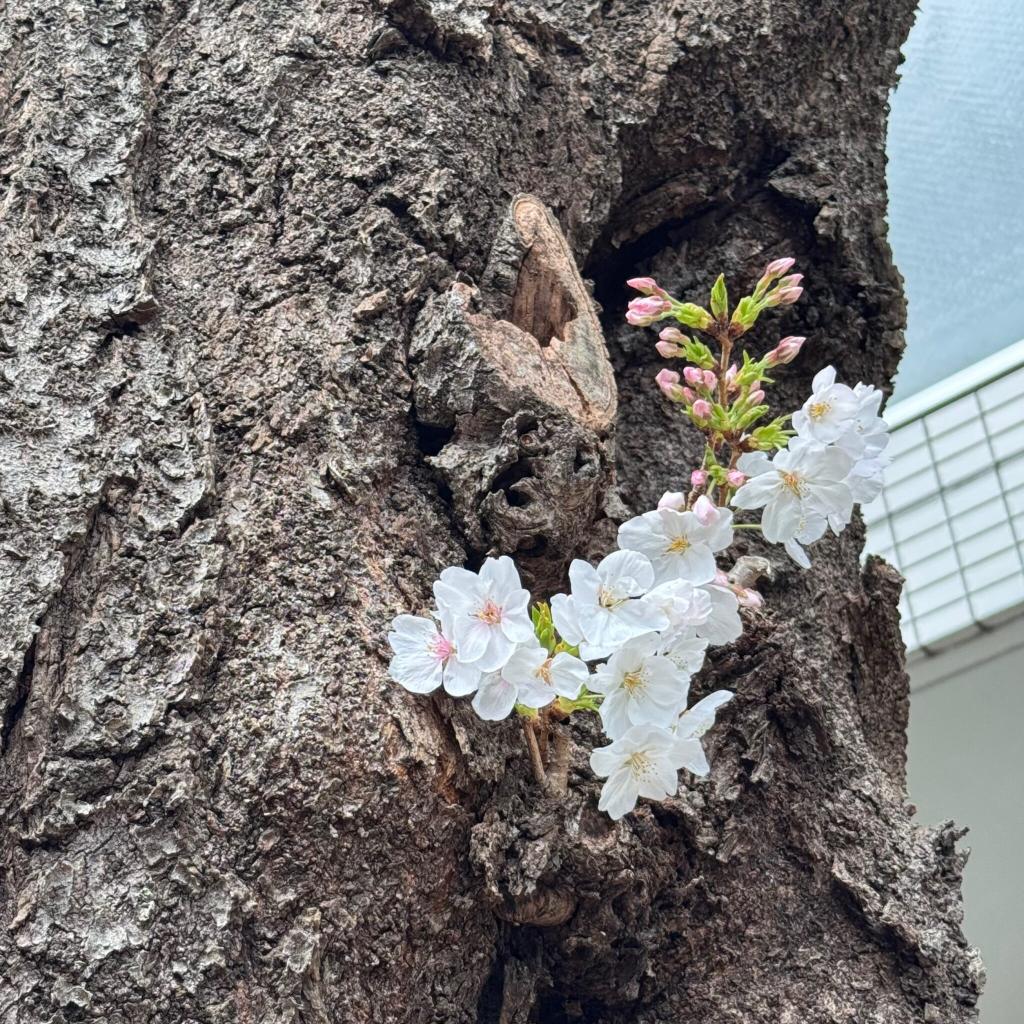 西大泉いずみ公園で遊びました♪