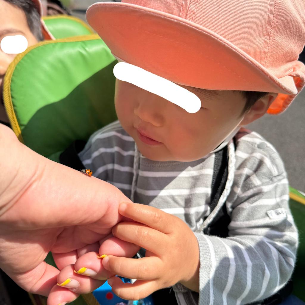 てんとうむし発見!