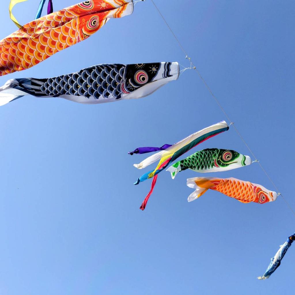 あらやしき公園のこいのぼりを見に行きました!