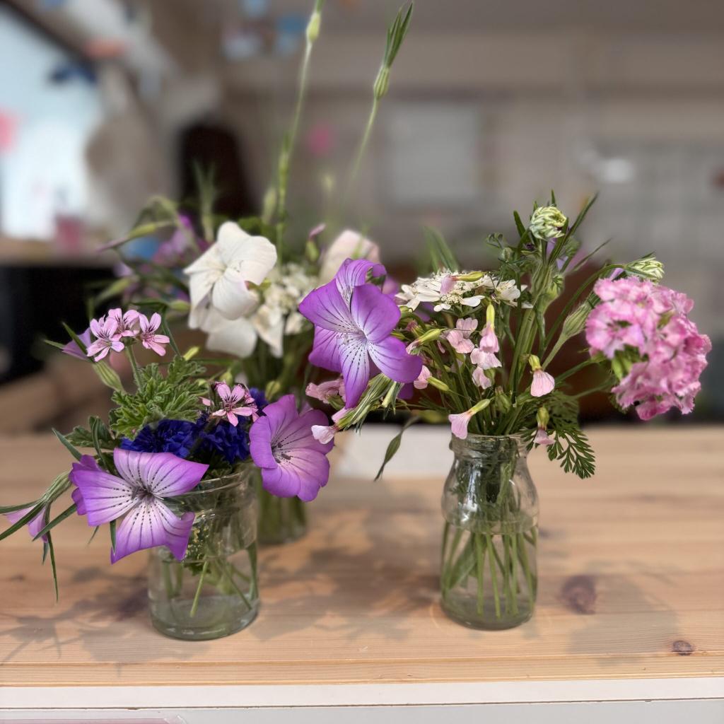 サニーデイズガーデンに行ってきました♪