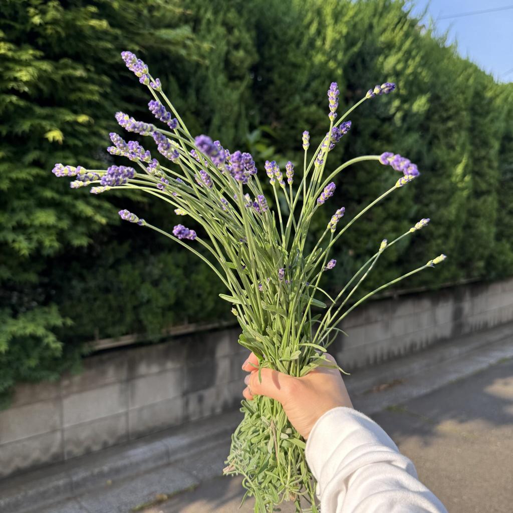 お花を頂きました!