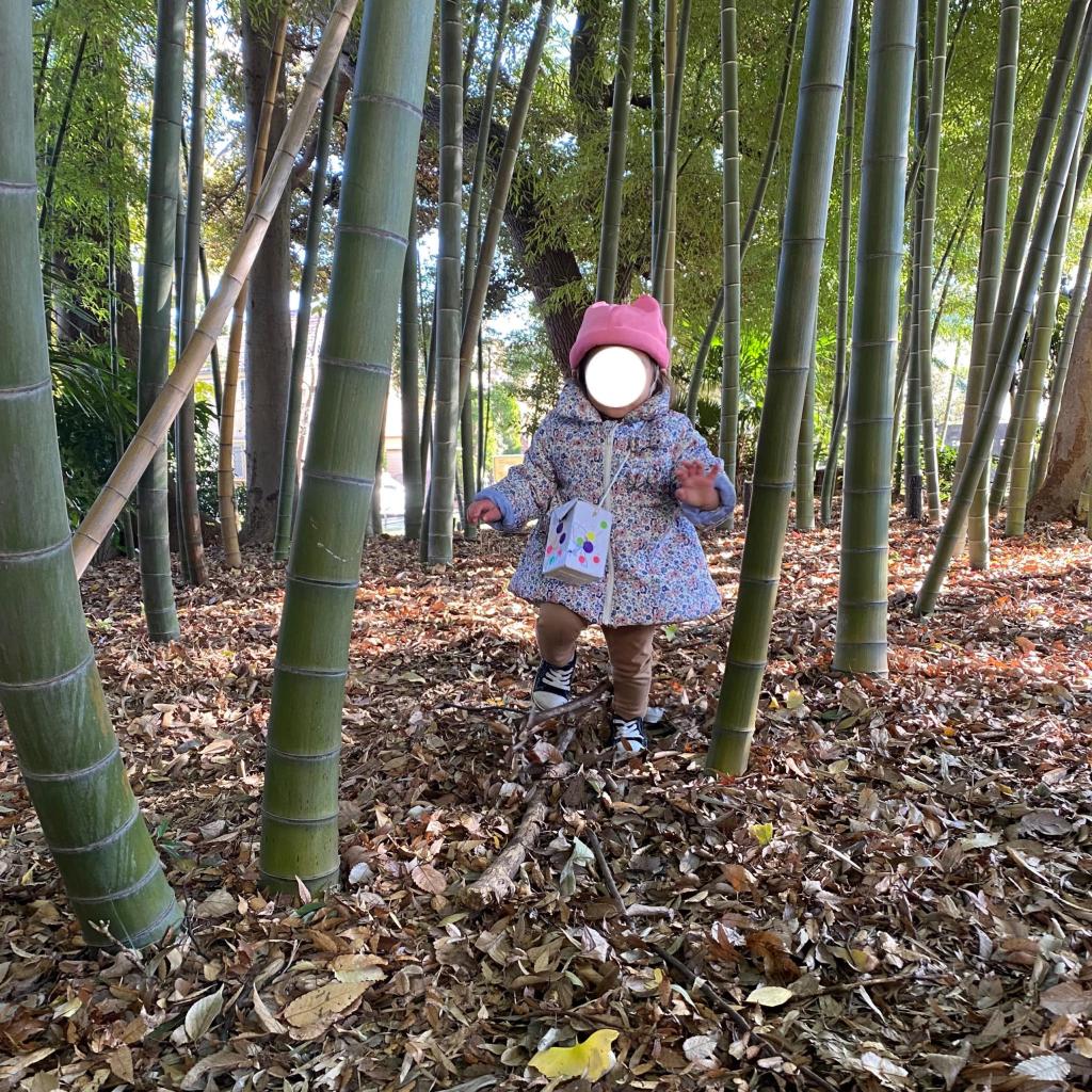 竹の子憩いの森へ行ってきました!
