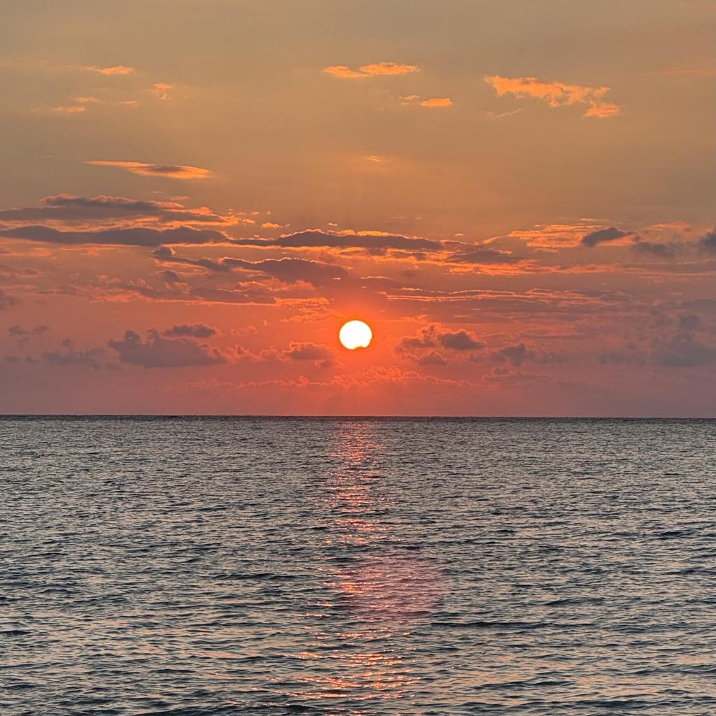 2025年もありがとうございました!