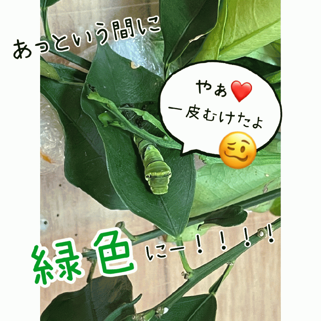 Instagram更新しました♫