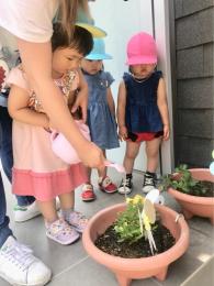 5/18　お水をあげたよ!