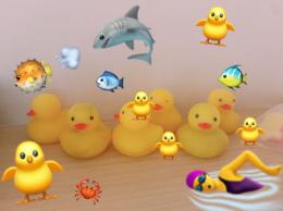 水遊びスタートッ!!!