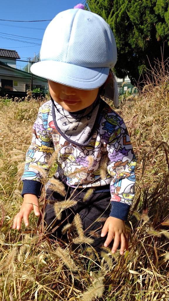 秋のお散歩☆彡