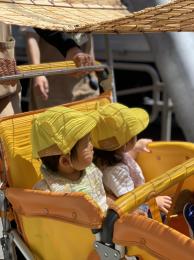 バギーの和風日よけ