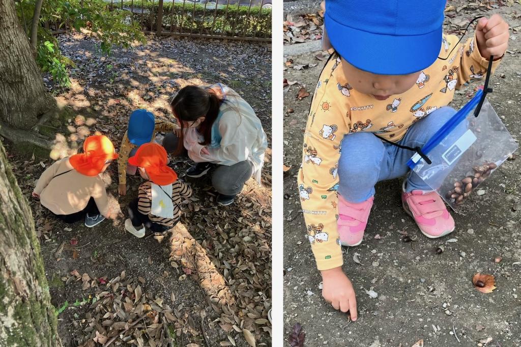 どんぐりコロコロ