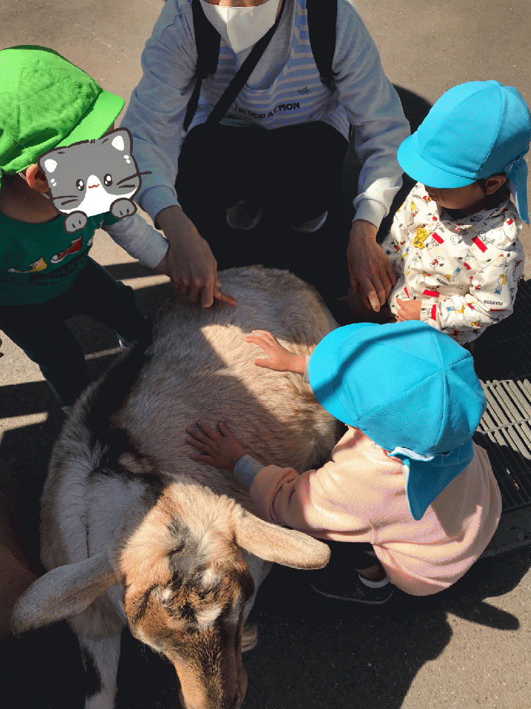 子ども動物に行きました!