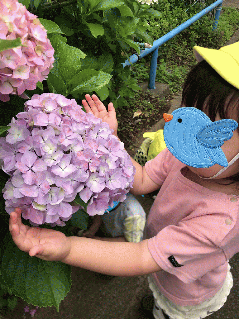 あじさい公園に行ってきました★