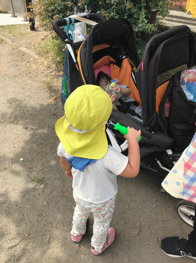 お散歩に行きました♪