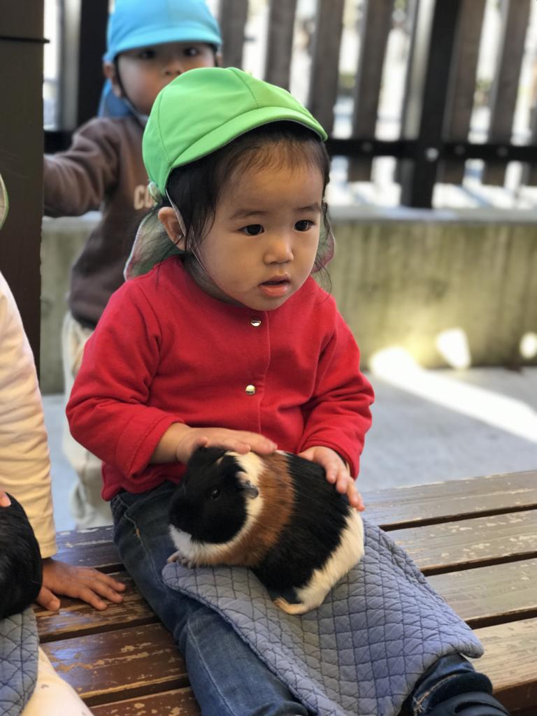 モルモット抱っこ体験