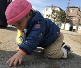 元気にいっぱい遊んだよ