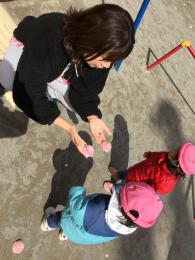 公園でお花をみつけた!