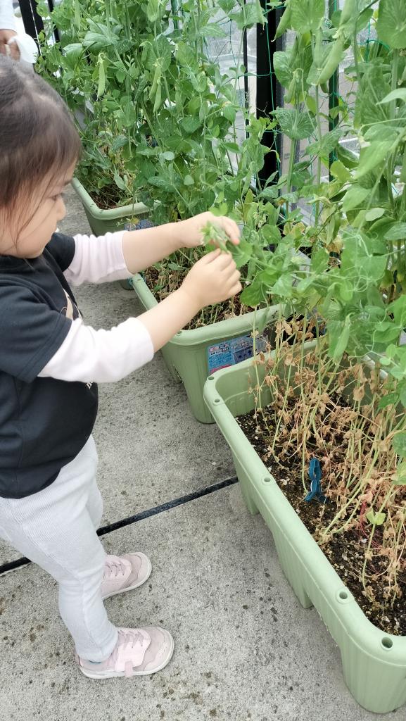 立川市人気の保育園　〜日常〜