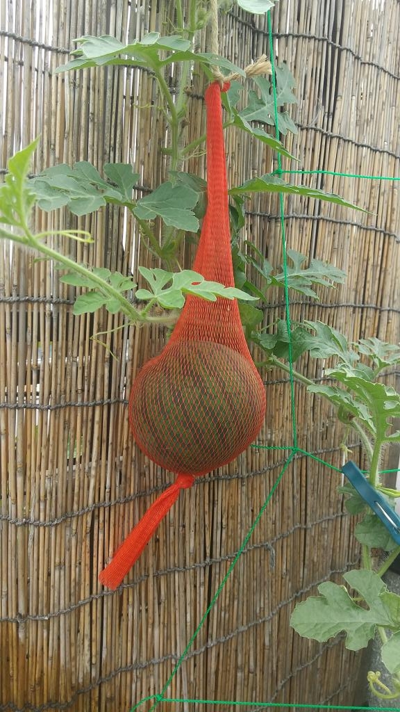 立川市人気の保育園～日常～