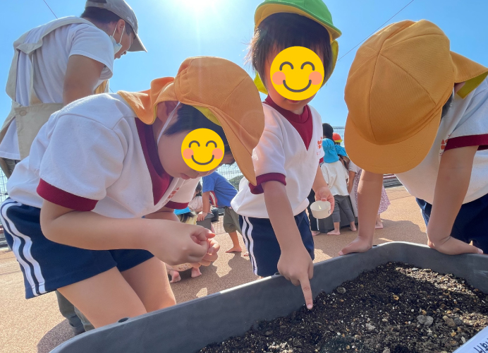 冬野菜を植えたよ!