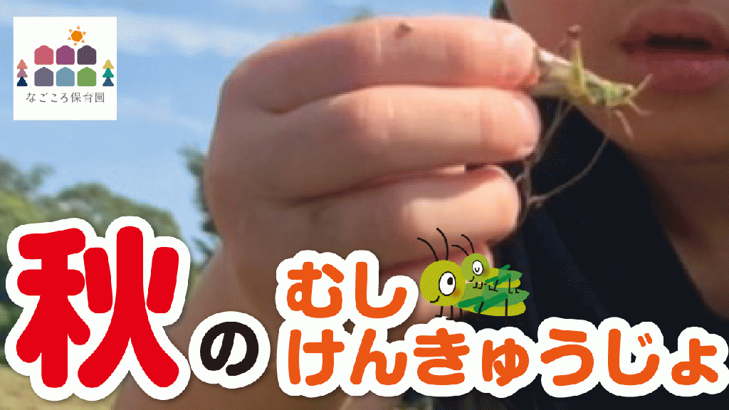 むしけんきゅうじょ、秋!