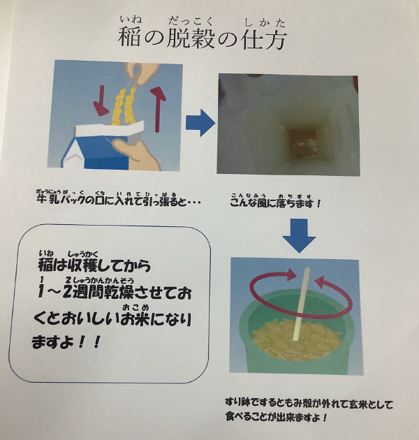 刈りとった稲の食べ方はコチラ!