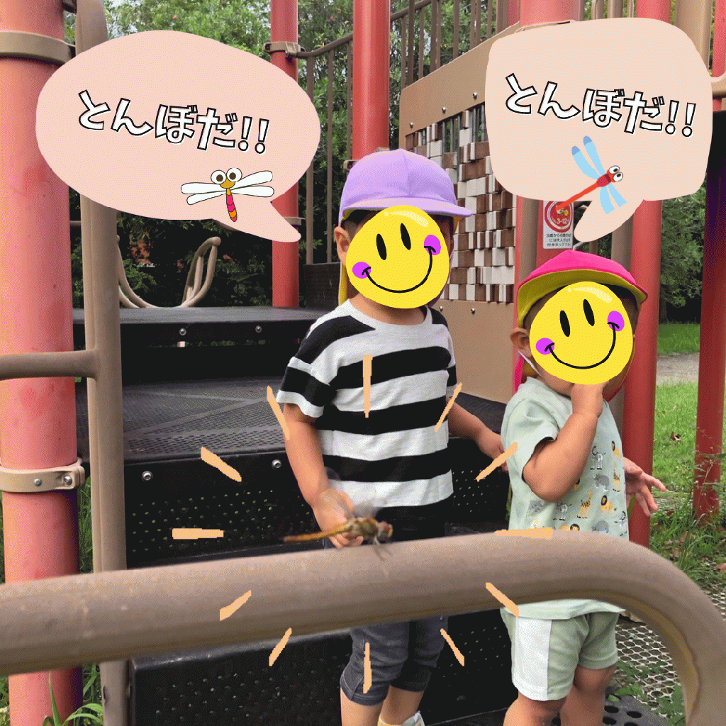 大きなトンボ、見つけた!