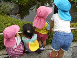 2020年度　新入園児募集