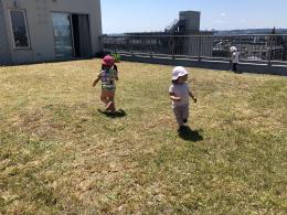 ブログ紹介(これからの保育)