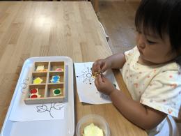 ブログ紹介(目と手)