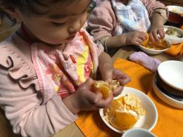 ブログ紹介(微細活動)