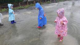 ブログ紹介(雨の日散歩)