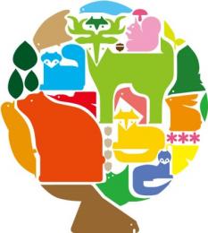 魚を与えるのではなく、魚の釣り方を教えよ