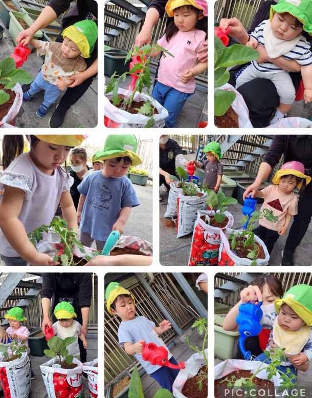 ☆お買い物体験・苗植え☆