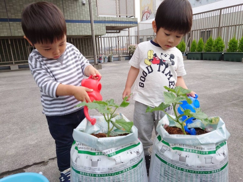 First stepⅠふぁーむ