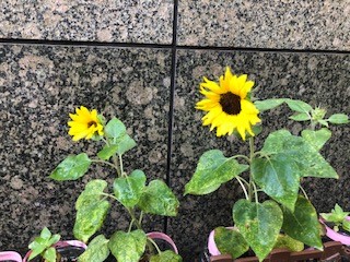 2022年8月園内見学会受付中。地域枠空きあります!