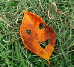 季節の手遊び・創作活動も行います